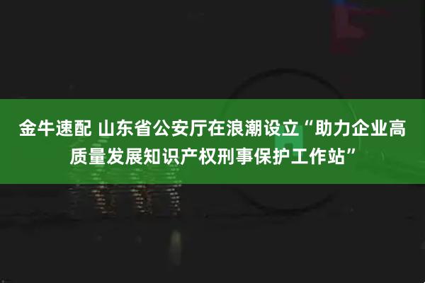 金牛速配 山东省公安厅在浪潮设立“助力企业高质量发展知识产权刑事保护工作站”