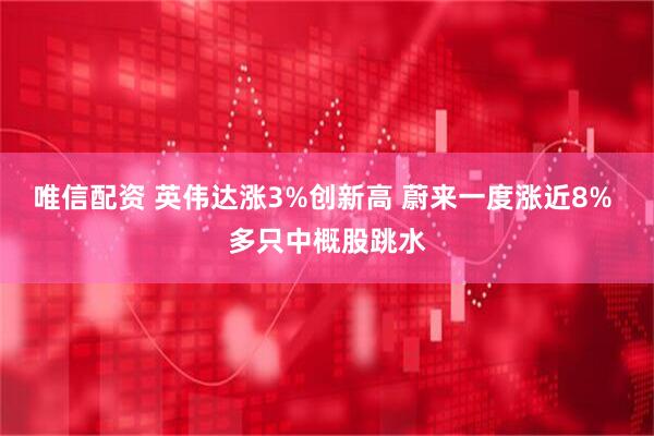 唯信配资 英伟达涨3%创新高 蔚来一度涨近8% 多只中概股跳水