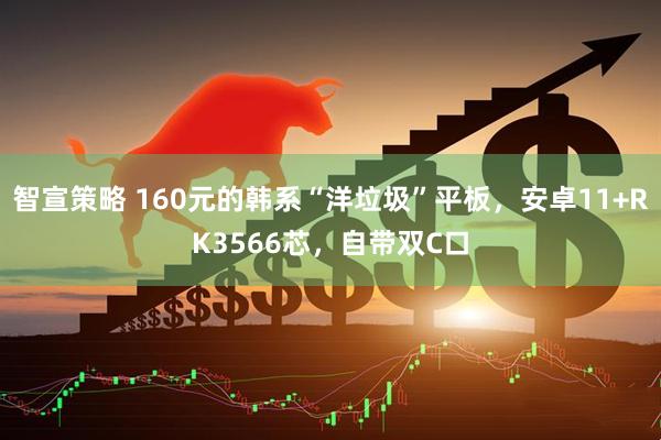 智宣策略 160元的韩系“洋垃圾”平板，安卓11+RK3566芯，自带双C口