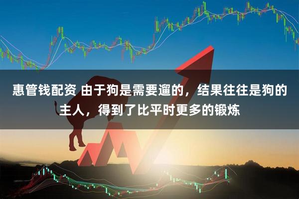 惠管钱配资 由于狗是需要遛的，结果往往是狗的主人，得到了比平时更多的锻炼